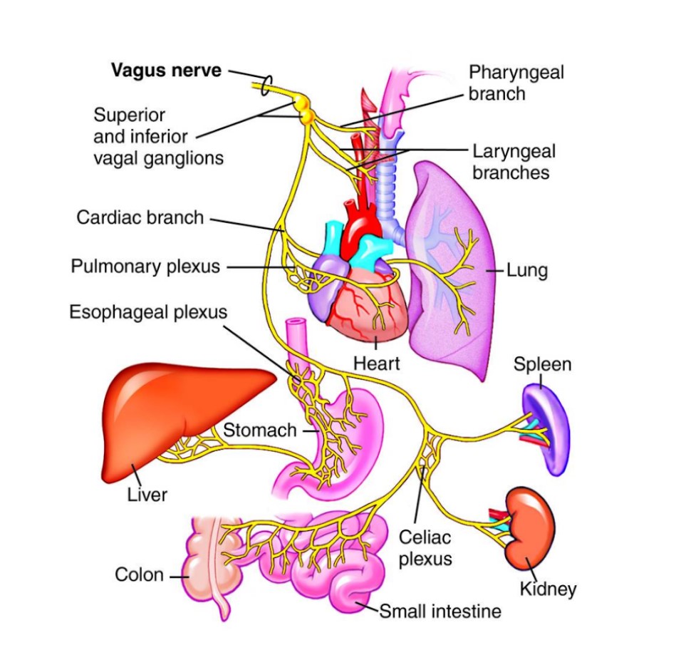 Internal connections