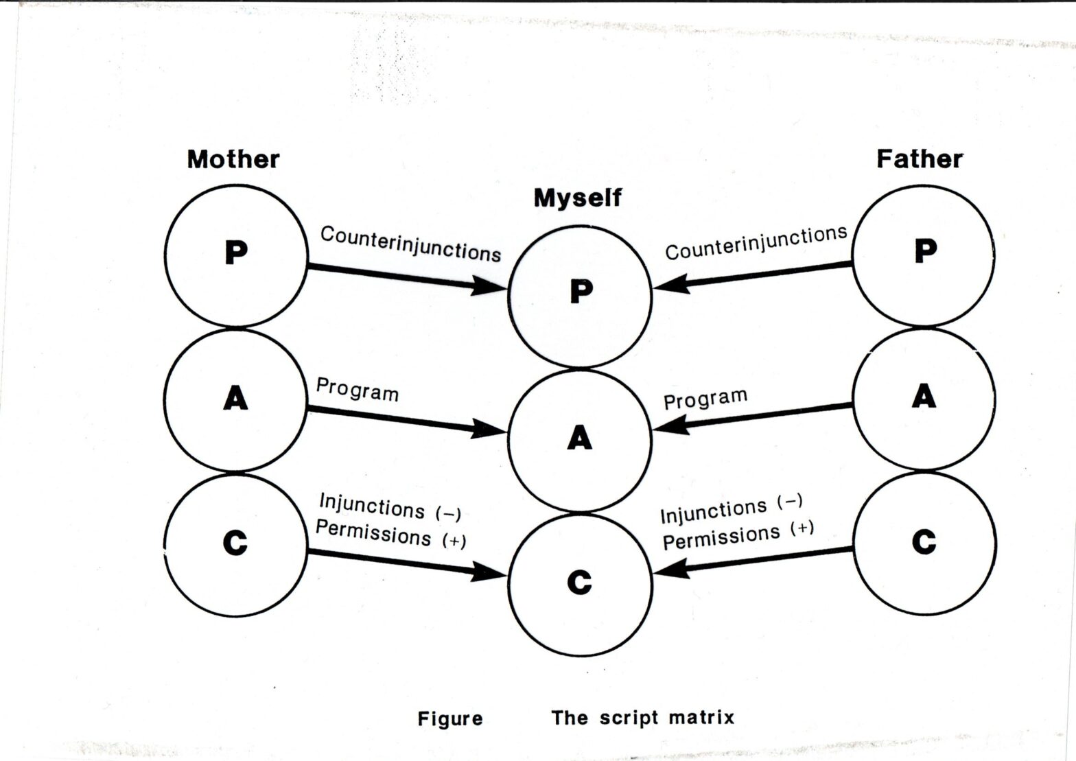 Transactional Analysis A Little Bit More On Drivers And Scripts Your Nudge