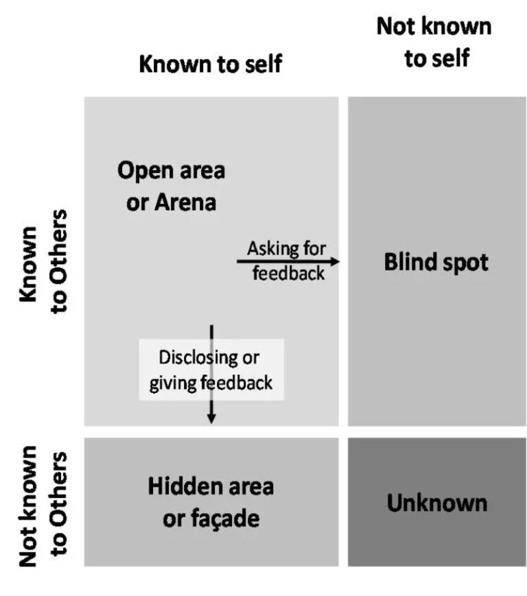 The Johari Window Your Nudge