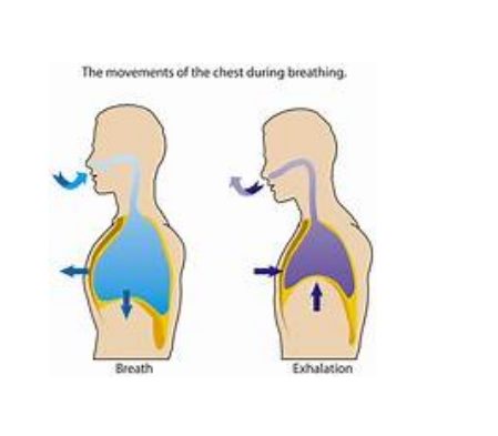 Controlled Breathing? Is it that simple? – Your Nudge